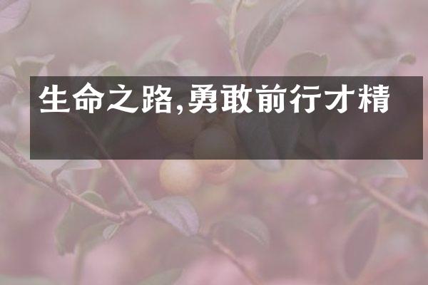 生命之路,勇敢前行才精彩