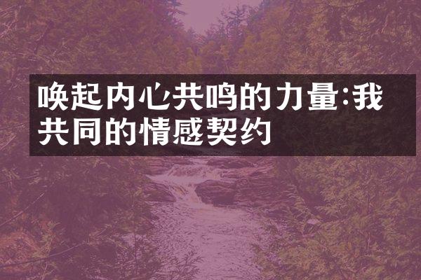 唤起内心共鸣的力量:我们共同的情感契约