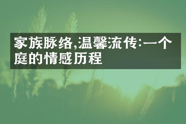 家族脉络,温馨流传:一个家庭的情感
