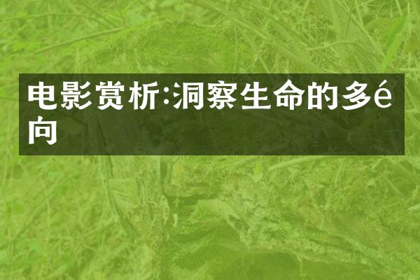 电影赏析:洞察生命的多面向