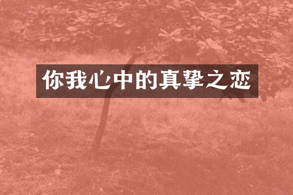 你我心中的真挚之恋