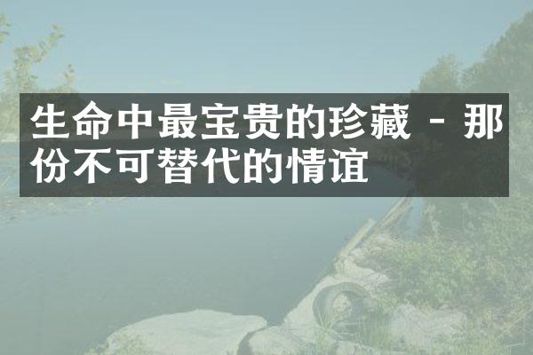 生命中最宝贵的珍藏 - 那份不可替代的情谊