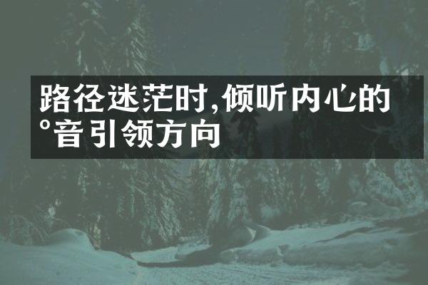 路径迷茫时,倾听内心的声音引领方向