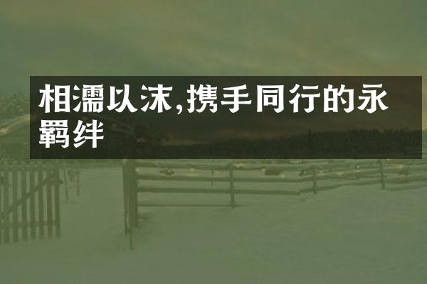 相濡以沫,携手同行的永恒羁绊