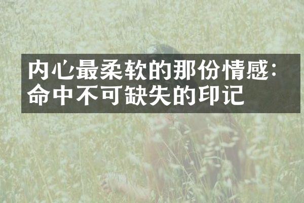 内心最柔软的那份情感:生命中不可缺失的印记