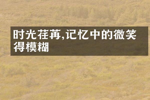 时光荏苒,记忆中的微笑变得模糊