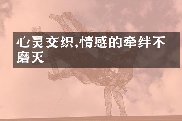 心灵交织,情感的牵绊不曾磨灭