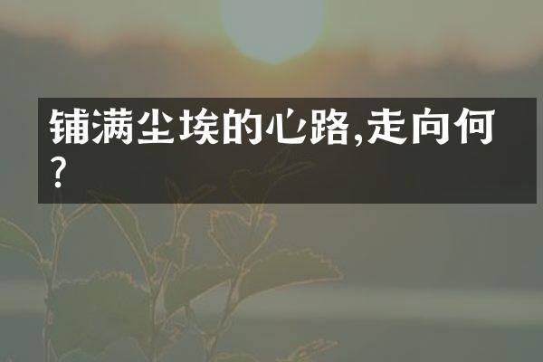 铺满尘埃的心路,走向何方?