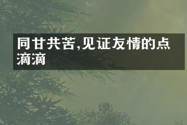 同甘共苦,见证友情的点点滴滴