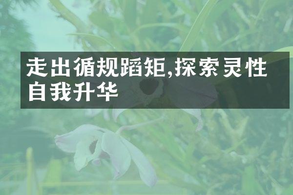 走出循规蹈矩,探索灵性的自我升华