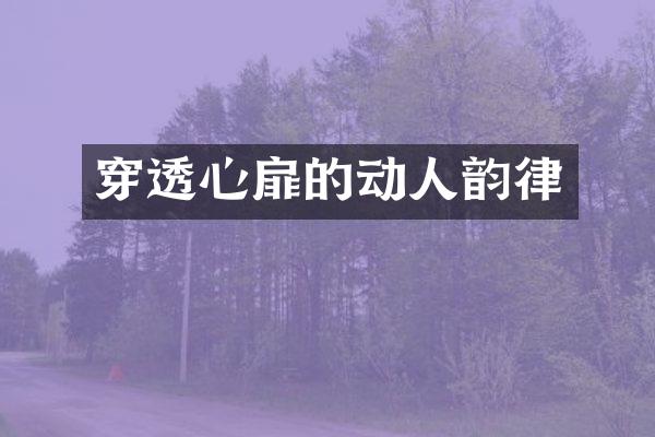 穿透心扉的动人韵律