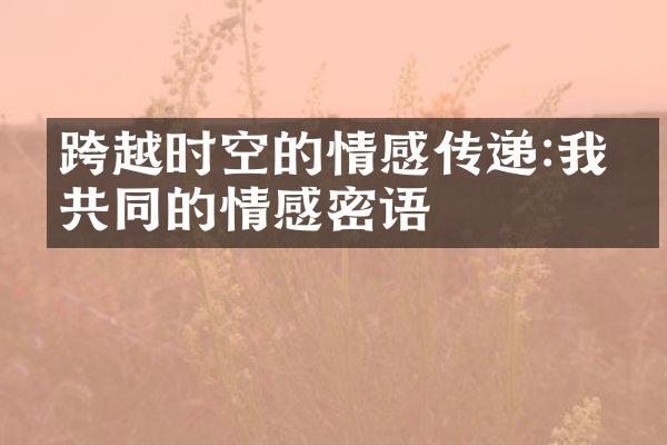 跨越时空的情感传递:我们共同的情感密语