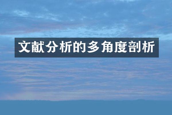 文献分析的多角度剖析