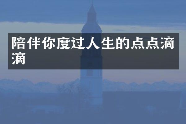 陪伴你度过人生的点点滴滴