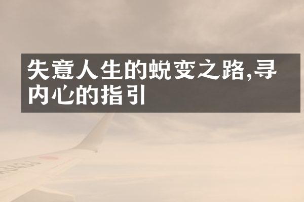 失意人生的蜕变之路,寻找内心的指引
