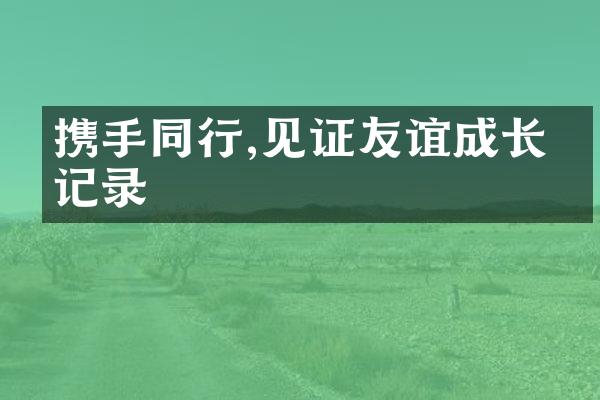 携手同行,见证友谊成长的记录