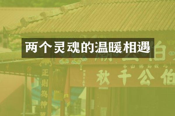 两个灵魂的温暖相遇