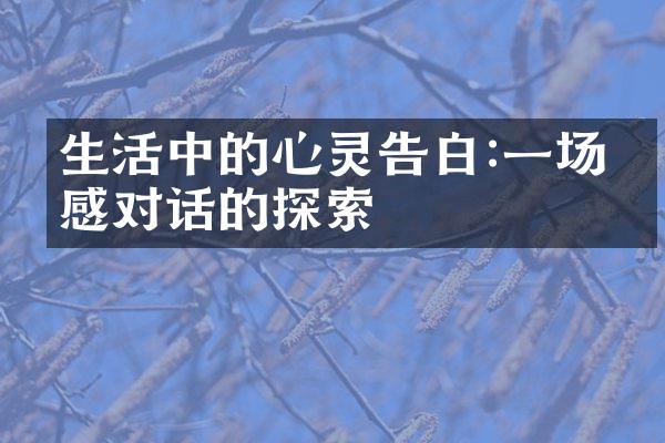 生活中的心灵告白:一场情感对话的探索