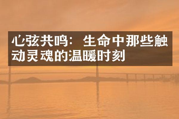 心弦共鸣：生命中那些触动灵魂的温暖时刻
