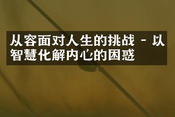 从容面对人生的挑战 - 以智慧化解内心的困惑
