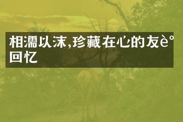 相濡以沫,珍藏在心的友谊回忆