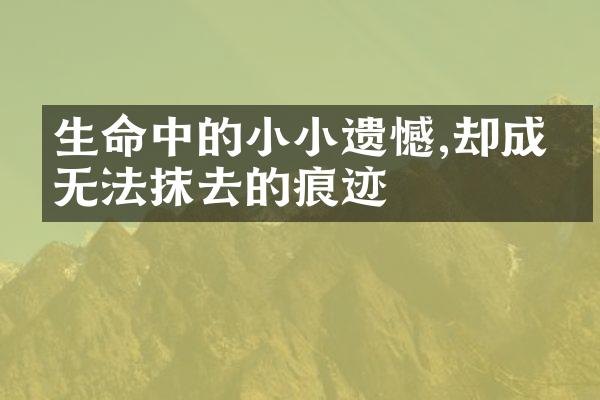 生命中的小小遗憾,却成了无法抹去的痕迹