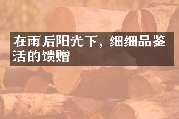 在雨后阳光下, 细细品鉴生活的馈赠