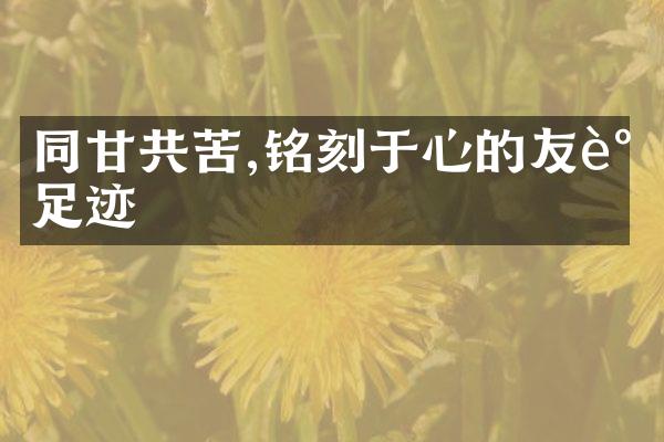 同甘共苦,铭刻于心的友谊足迹