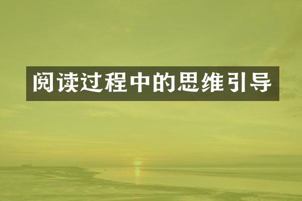 阅读过程中的思维引导