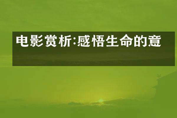 电影赏析:感悟生命的意义