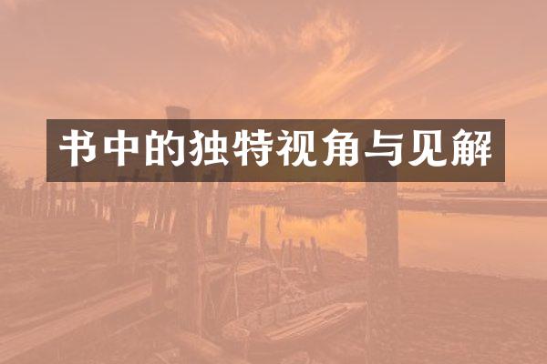 书中的独特视角与见解