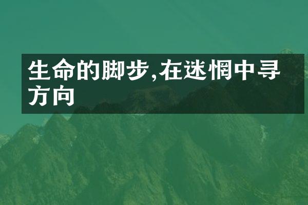 生命的脚步,在迷惘中寻找方向