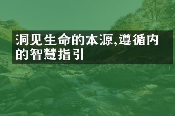 洞见生命的本源,遵循内心的智慧指引