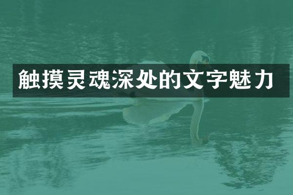 触摸灵魂深处的文字魅力