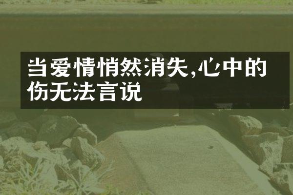 当爱情悄然消失,心中的哀伤无法言说