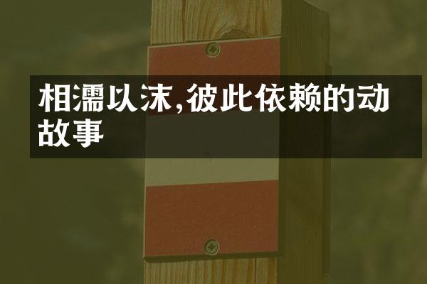 相濡以沫,彼此依赖的动人故事