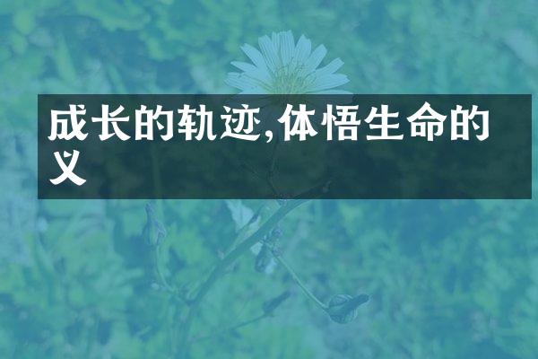 成长的轨迹,体悟生命的意义