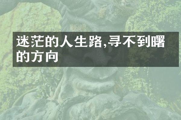 迷茫的人生路,寻不到曙光的方向