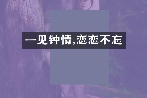 一见钟情,恋恋不忘