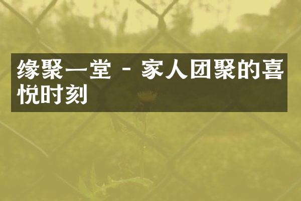 缘聚一堂 - 家人团聚的喜悦时刻