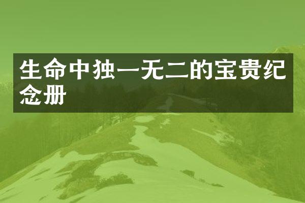 生命中独一无二的宝贵册