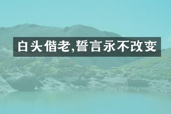 白头偕老,誓言永不改变