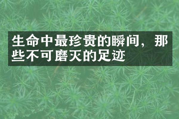 生命中最珍贵的瞬间，那些不可磨灭的足迹