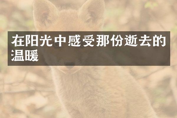 在阳光中感受那份逝去的温暖