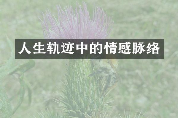 人生轨迹中的情感脉络