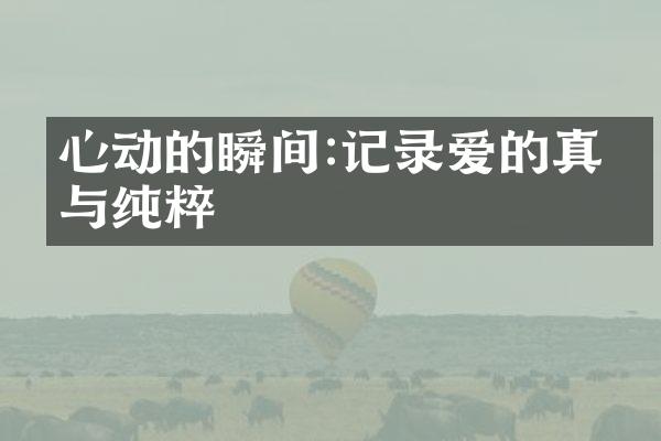 心动的瞬间:记录爱的真挚与纯粹
