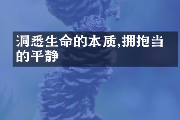 洞悉生命的本质,拥抱当下的平静
