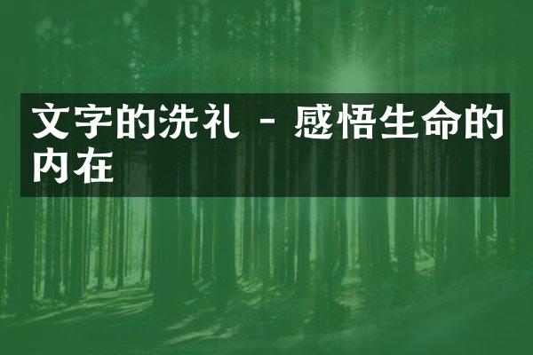 文字的洗礼 - 感悟生命的内在