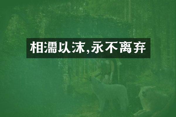 相濡以沫,永不离弃