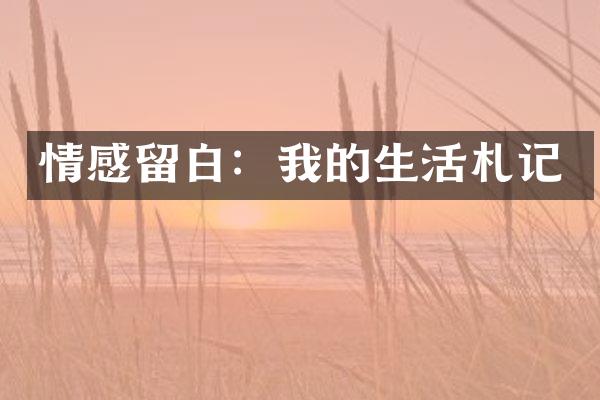情感留白：我的生活札记
